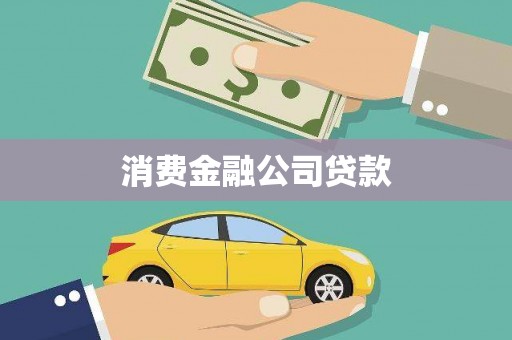 太麻里消费金融公司贷款