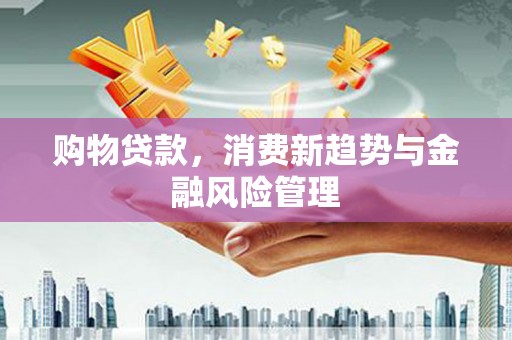 南化购物贷款，消费新趋势与金融风险管理
