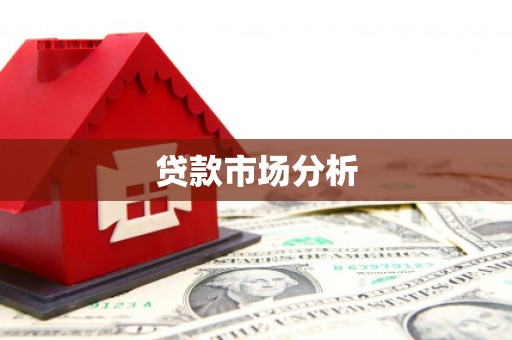 凤泉贷款市场分析