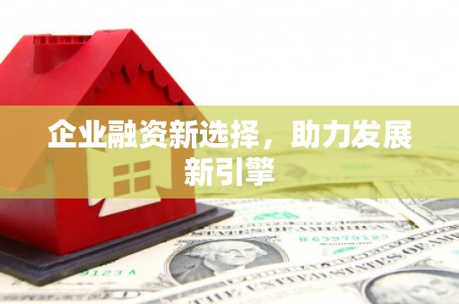 札达企业融资新选择，助力发展新引擎