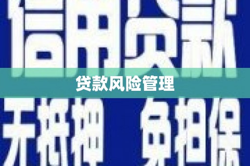 金湖贷款风险管理
