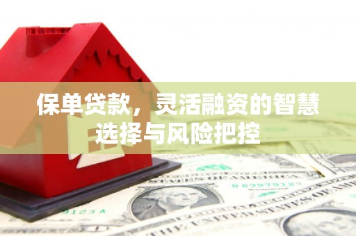 岳塘保单贷款，灵活融资的智慧选择与风险把控