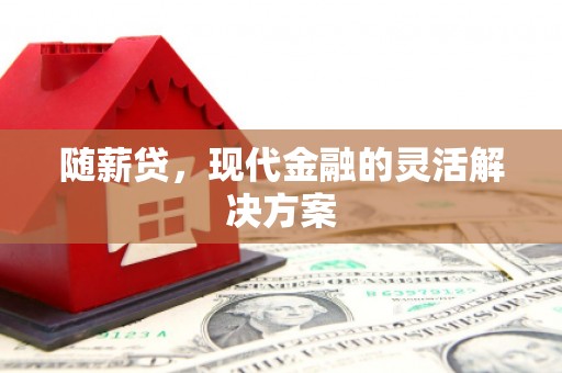 项城随薪贷，现代金融的灵活解决方案