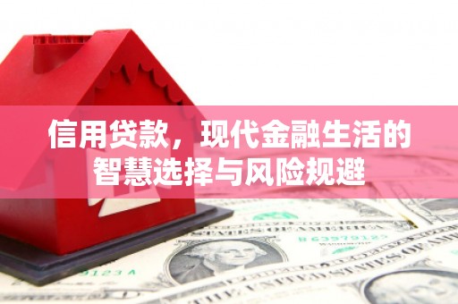 内湖信用贷款，现代金融生活的智慧选择与风险规避