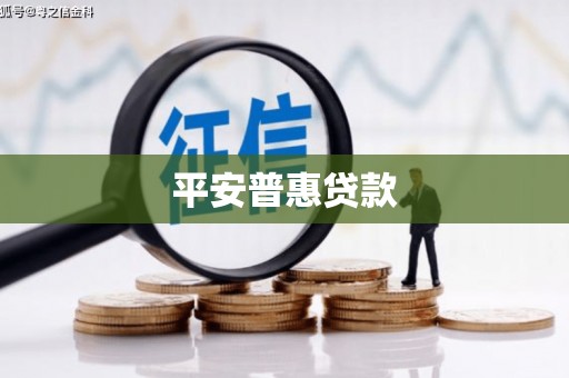 保康平安普惠贷款