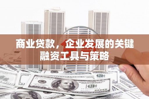 双清商业贷款，企业发展的关键融资工具与策略