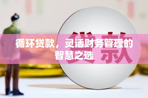 夏县循环贷款，灵活财务管理的智慧之选
