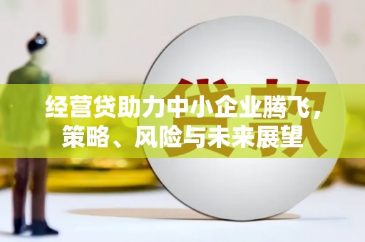 端州经营贷助力中小企业腾飞，策略、风险与未来展望