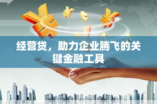工布江达经营贷，助力企业腾飞的关键金融工具