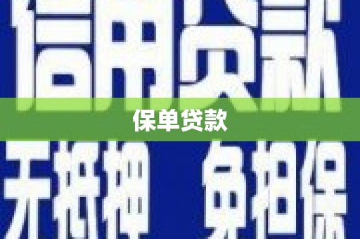 龙文保单贷款
