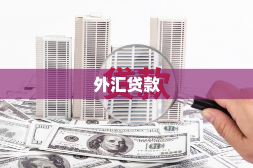 云和外汇贷款