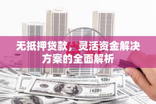 广水无抵押贷款，灵活资金解决方案的全面解析