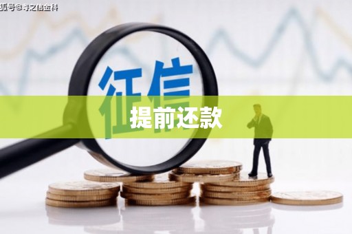 兴和提前还款