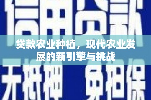 和美贷款农业种植，现代农业发展的新引擎与挑战