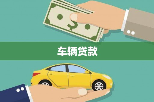盐津车辆贷款