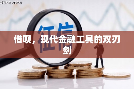卢氏借呗，现代金融工具的双刃剑