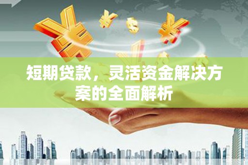 延平短期贷款，灵活资金解决方案的全面解析
