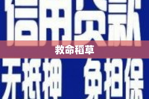 北关救命稻草
