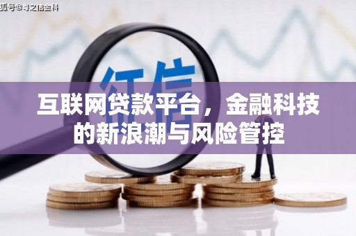 温岭互联网贷款平台，金融科技的新浪潮与风险管控