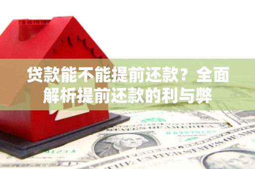西和贷款能不能提前还款？全面解析提前还款的利与弊