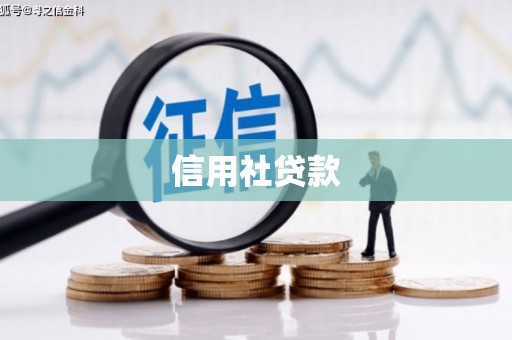 龙江信用社贷款
