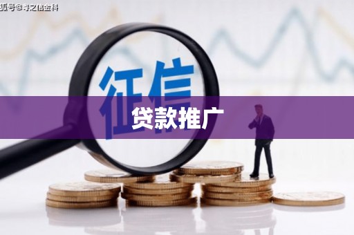 禄丰贷款推广