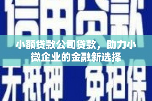 新营小额贷款公司贷款，助力小微企业的金融新选择