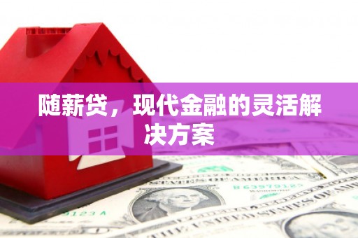 吴忠随薪贷，现代金融的灵活解决方案