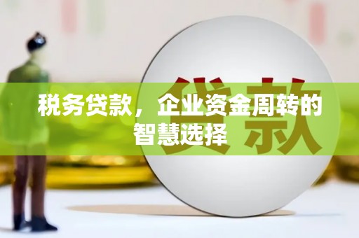 湘潭税务贷款，企业资金周转的智慧选择