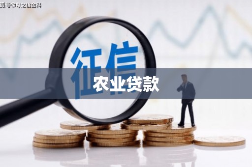 阳春农业贷款