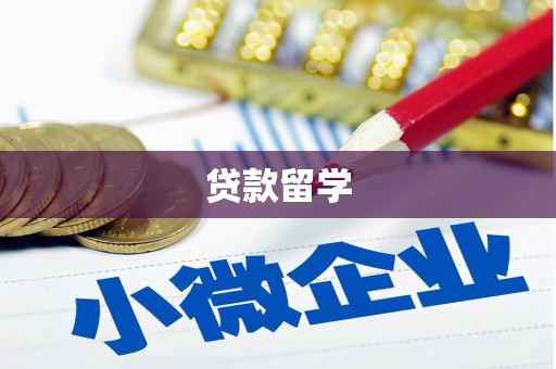 林边贷款留学