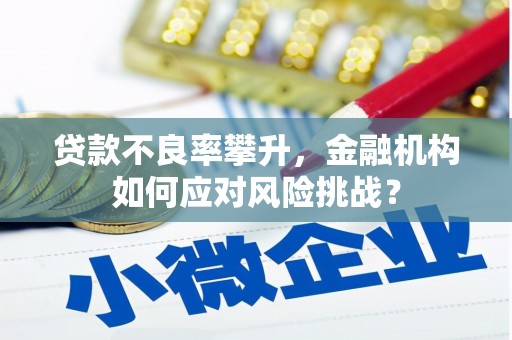 西海岸贷款不良率攀升，金融机构如何应对风险挑战？
