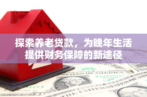 镇安探索养老贷款，为晚年生活提供财务保障的新途径