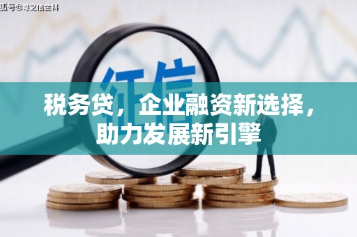 五台税务贷，企业融资新选择，助力发展新引擎