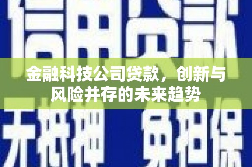 乌拉特后旗金融科技公司贷款，创新与风险并存的未来趋势