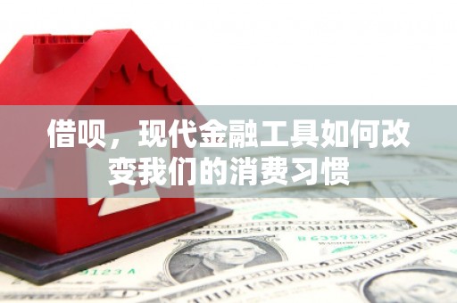 孟村借呗，现代金融工具如何改变我们的消费习惯
