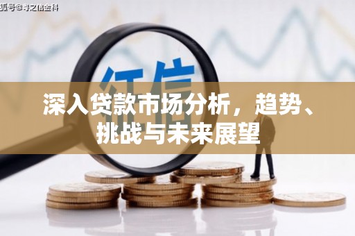 南雄深入贷款市场分析，趋势、挑战与未来展望
