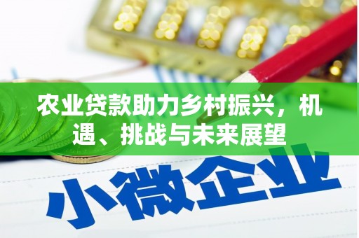 全南农业贷款助力乡村振兴，机遇、挑战与未来展望