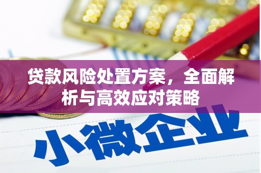 应县贷款风险处置方案，全面解析与高效应对策略