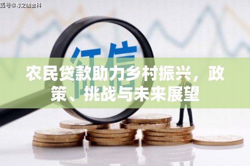 和硕农民贷款助力乡村振兴，政策、挑战与未来展望