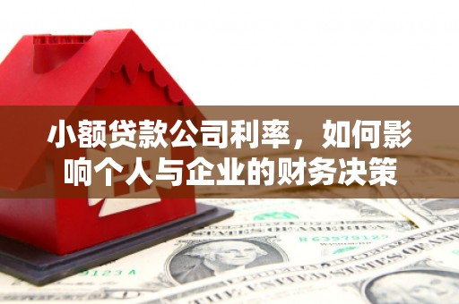 芳苑小额贷款公司利率，如何影响个人与企业的财务决策