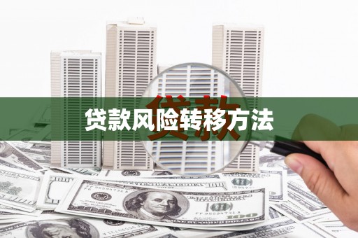 亚东贷款风险转移方法