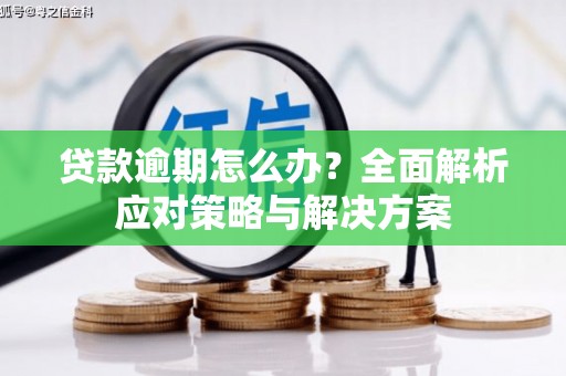 美浓贷款逾期怎么办？全面解析应对策略与解决方案