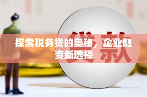红安探索税务贷的奥秘，企业融资新选择