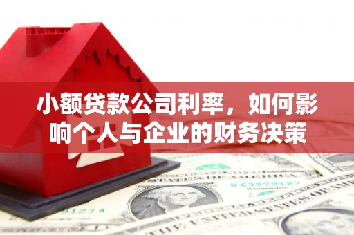 颍东小额贷款公司利率，如何影响个人与企业的财务决策