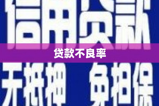 太麻里贷款不良率