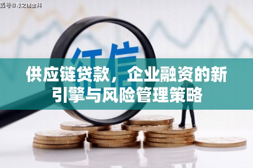 囊谦供应链贷款，企业融资的新引擎与风险管理策略
