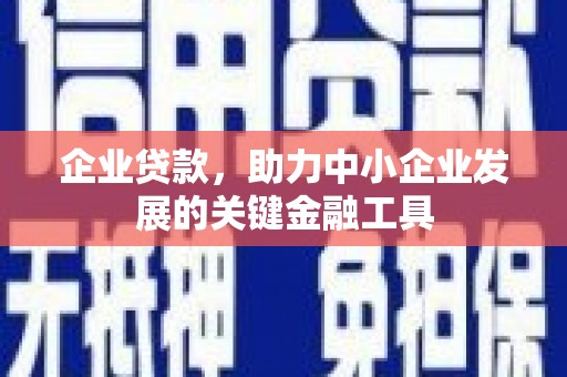 龙凤企业贷款，助力中小企业发展的关键金融工具