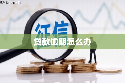 昔阳贷款逾期怎么办