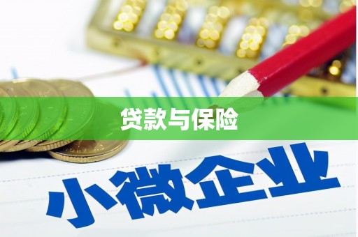 汶川贷款与保险